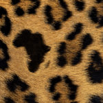 Africa Leopard fur