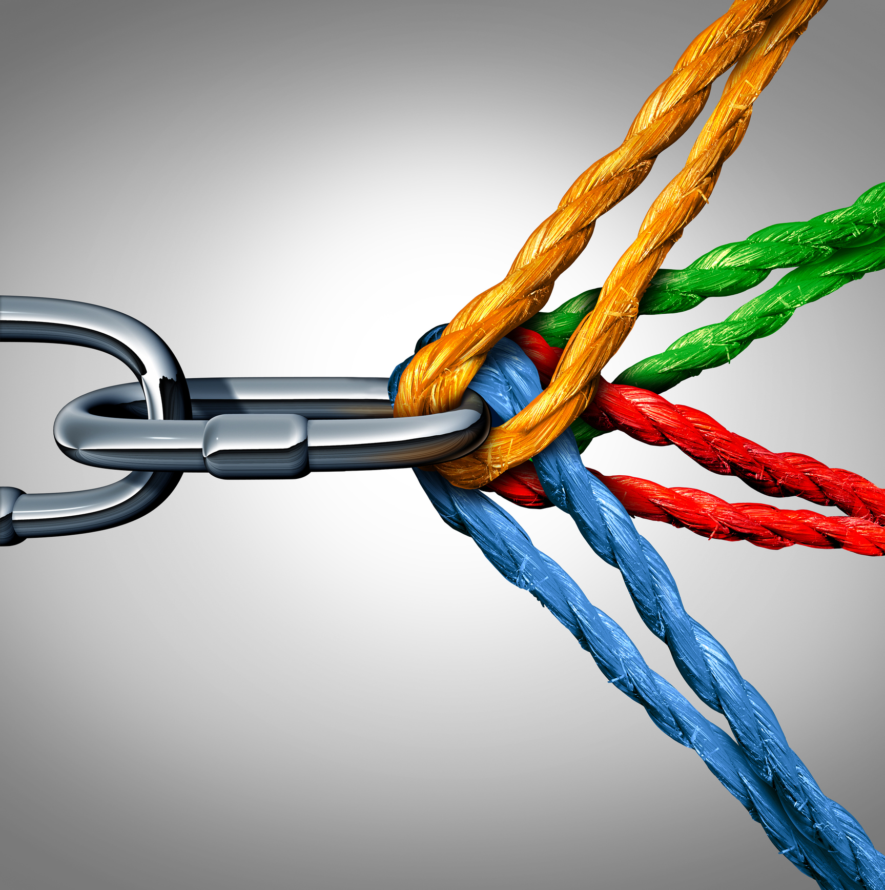 Picture of the Company