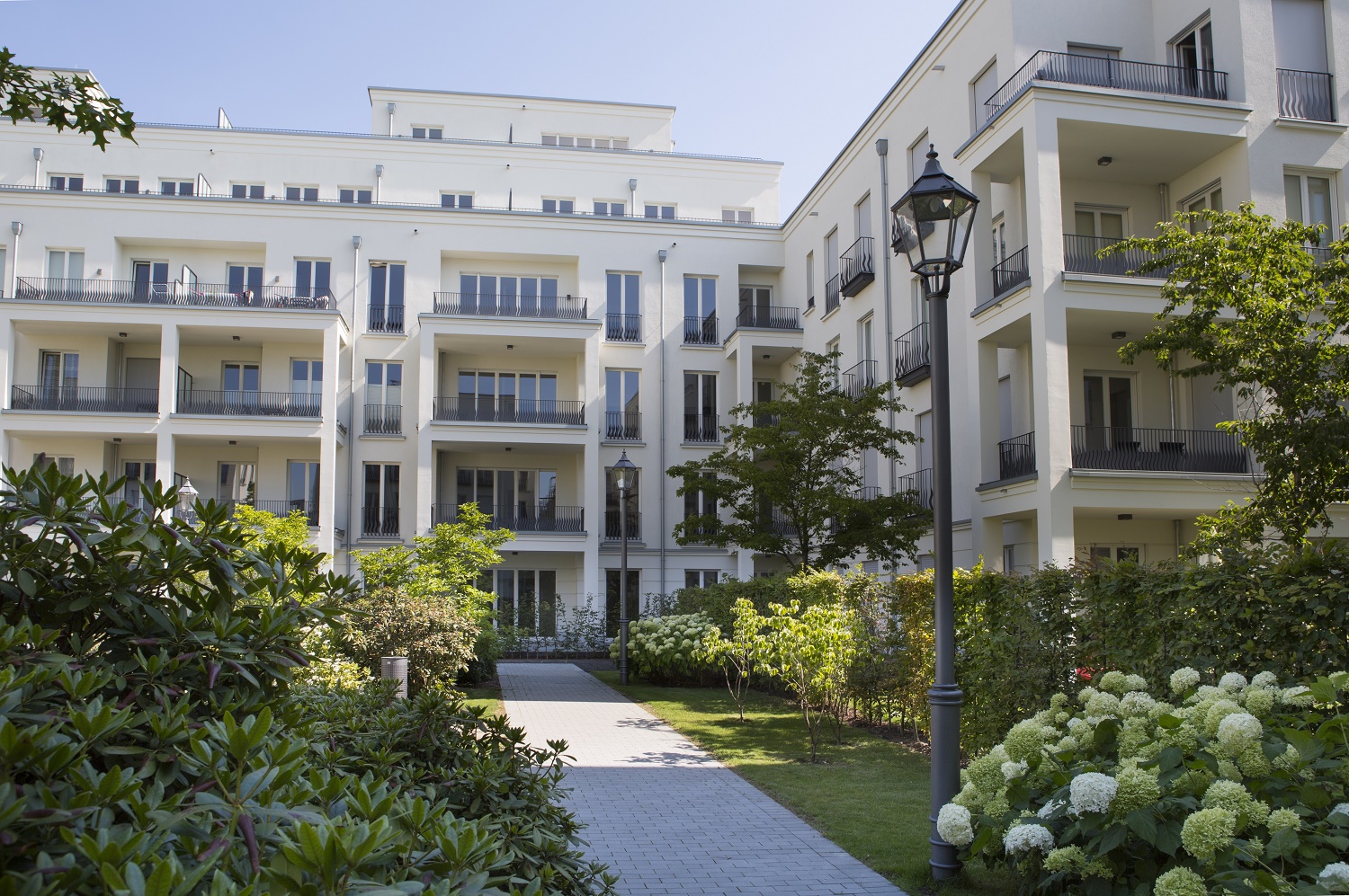 Picture of the Company