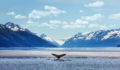 Alaska Permanent writes down value of 46 alternatives funds Alaska