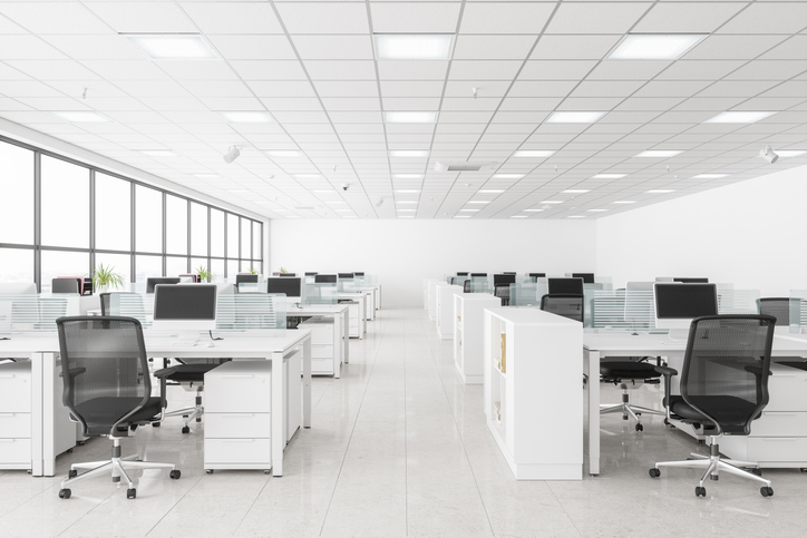 Picture of the Company