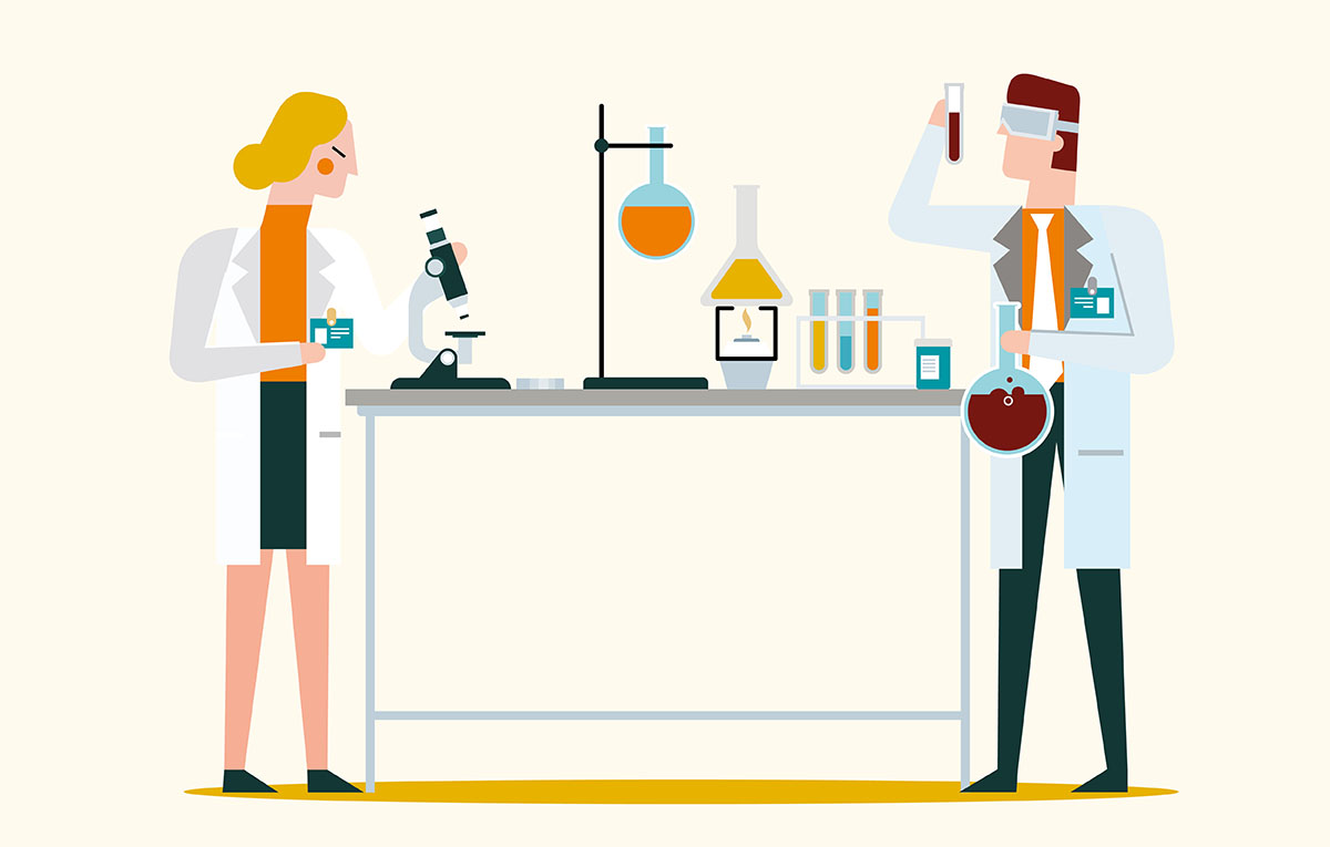 Picture of the Company