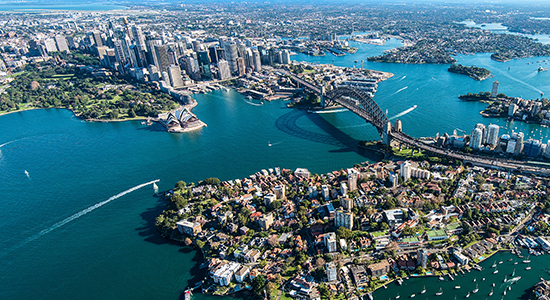 Picture of the Company