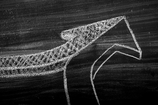 Picture of the Company