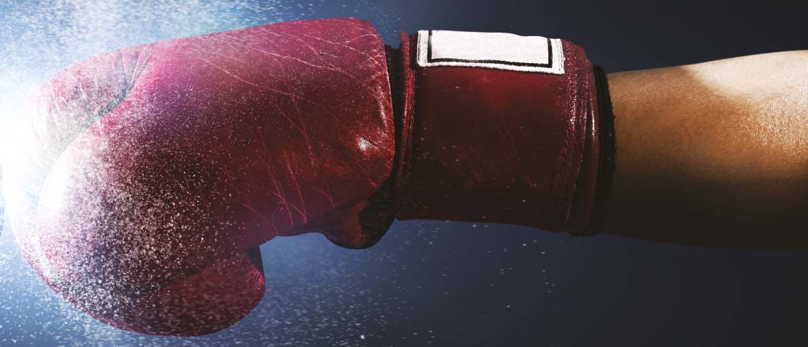 Picture of the Company