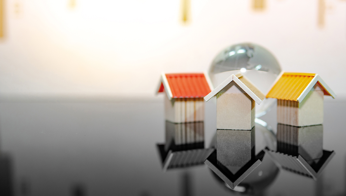 Picture of the Company