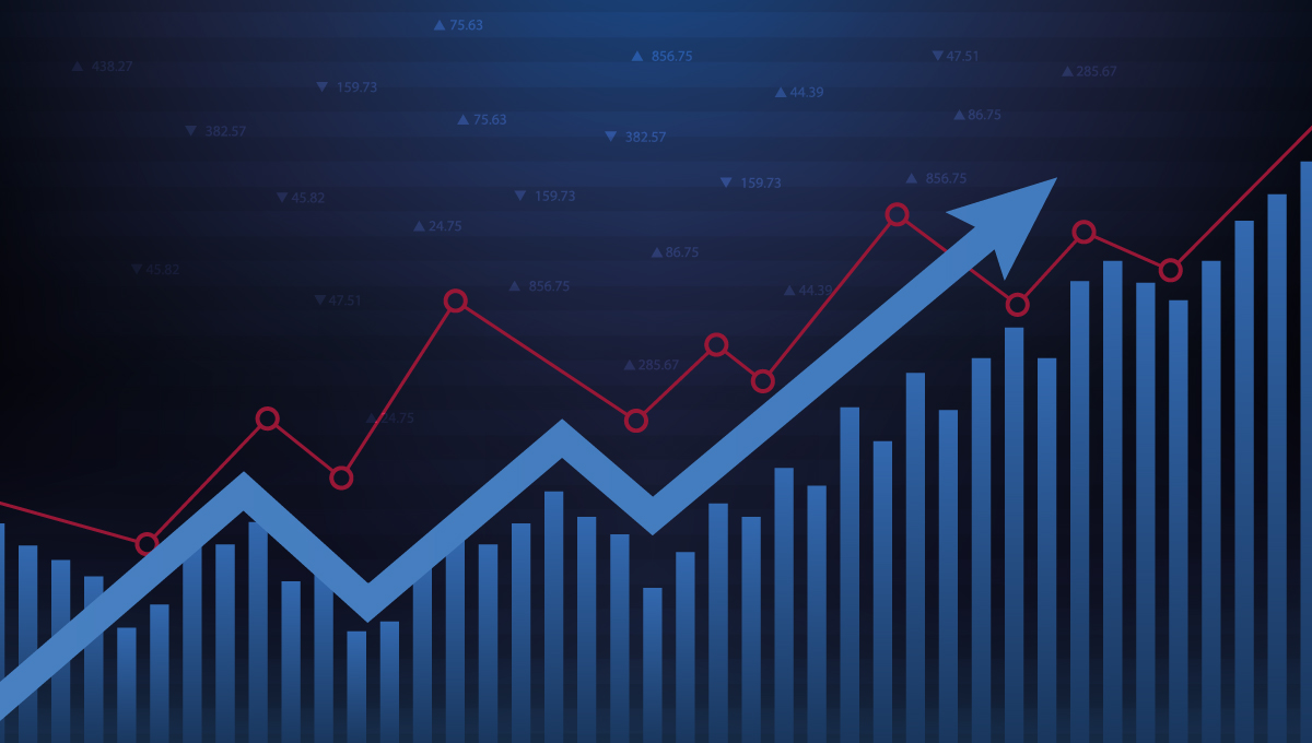 Picture of the Company