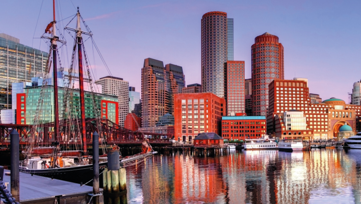 Picture of the Company