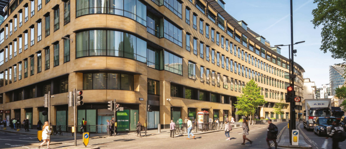 Picture of the Company