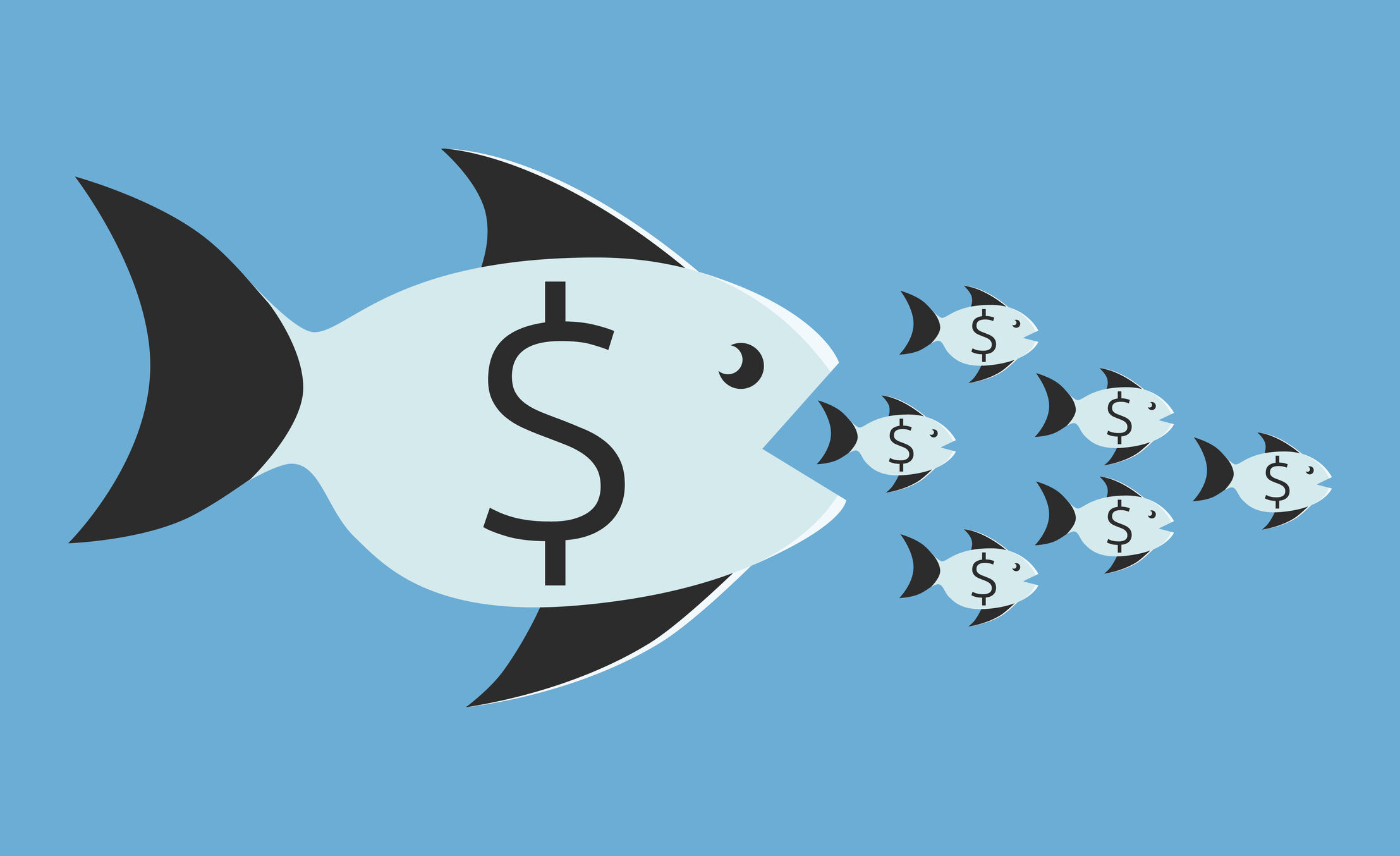 Picture of the Company