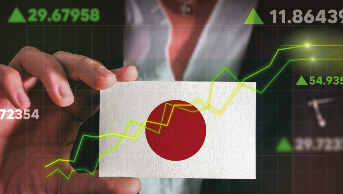 Picture of the Company