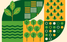 Tikehau Capital: Private equity’s role in powering climate resilience