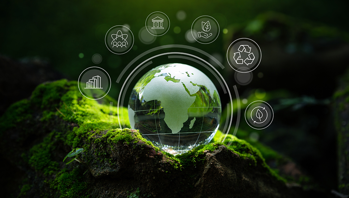 Picture of the Company