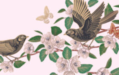 Impact investing blossoms in Japan Cute birds on the branches, butterflies, dragonfly. Flowers and leaves of Blossoming tree on red background. Floral seamless pattern. Spring Vector illustration. Vintage. Template for wallpaper, paper.