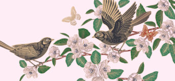 Cute birds on the branches, butterflies, dragonfly. Flowers and leaves of Blossoming tree on red background. Floral seamless pattern. Spring Vector illustration. Vintage. Template for wallpaper, paper.