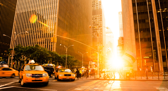 Picture of the Company