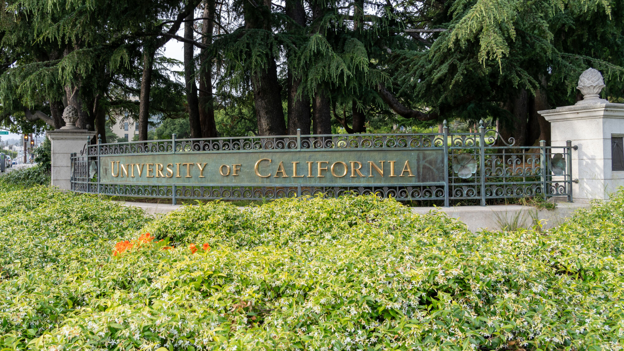 Picture of the Company