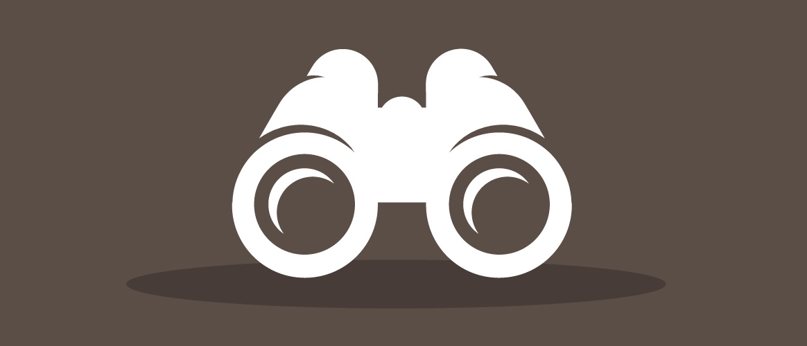 Picture of the Company