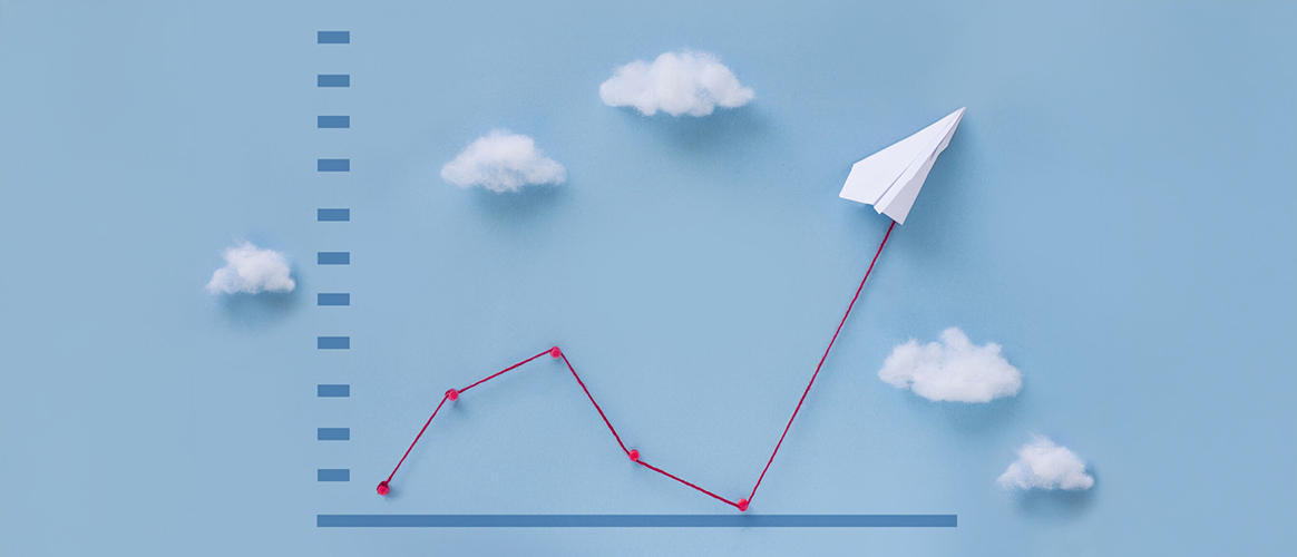 Picture of the Company