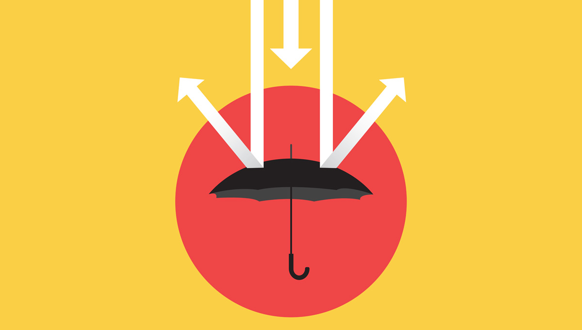 Picture of the Company