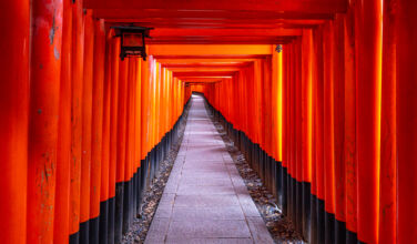 How Japan’s LP gatekeepers navigate potential conflicts of interest Iconic Fushimi Inari Shrines Path A Thousand Gates of Dedication During the Early Morning in Kyoto, Japan Asia