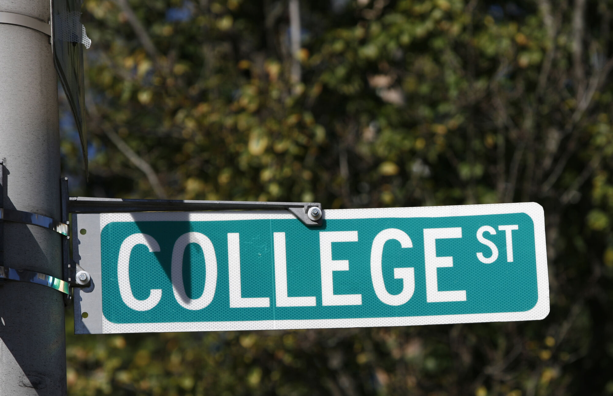 Picture of the Company