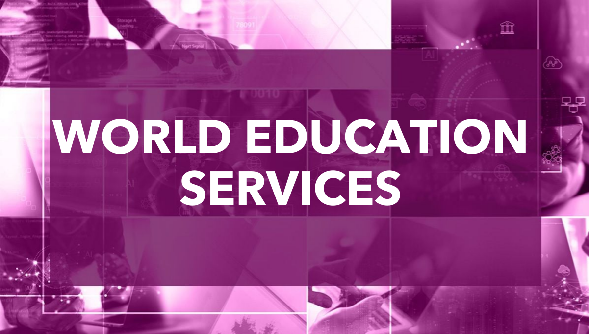 Picture of the Company