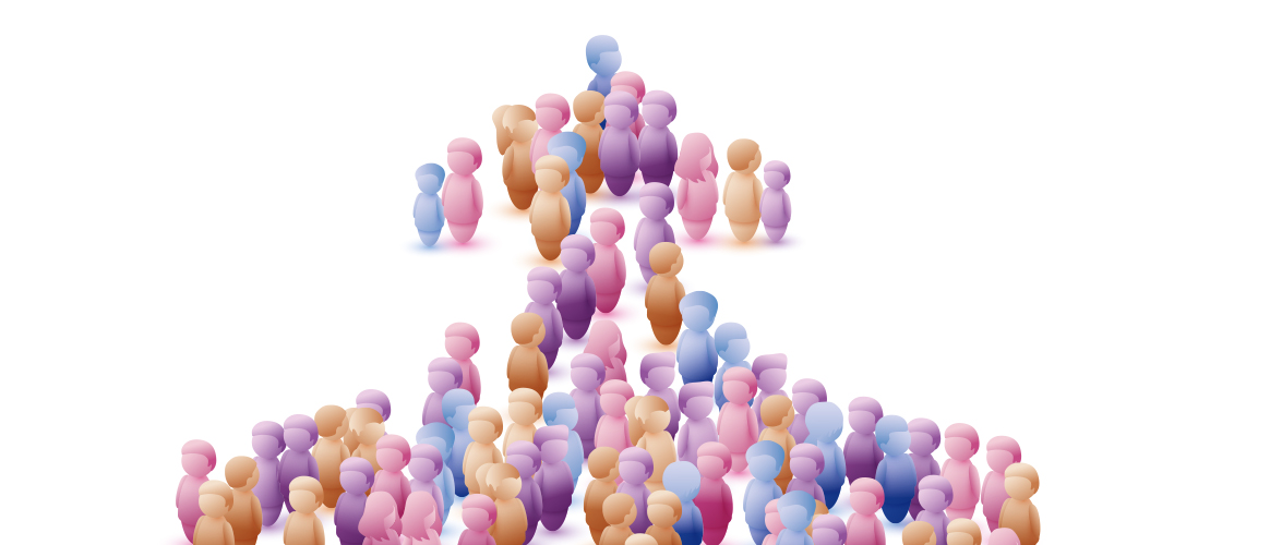 Picture of the Company