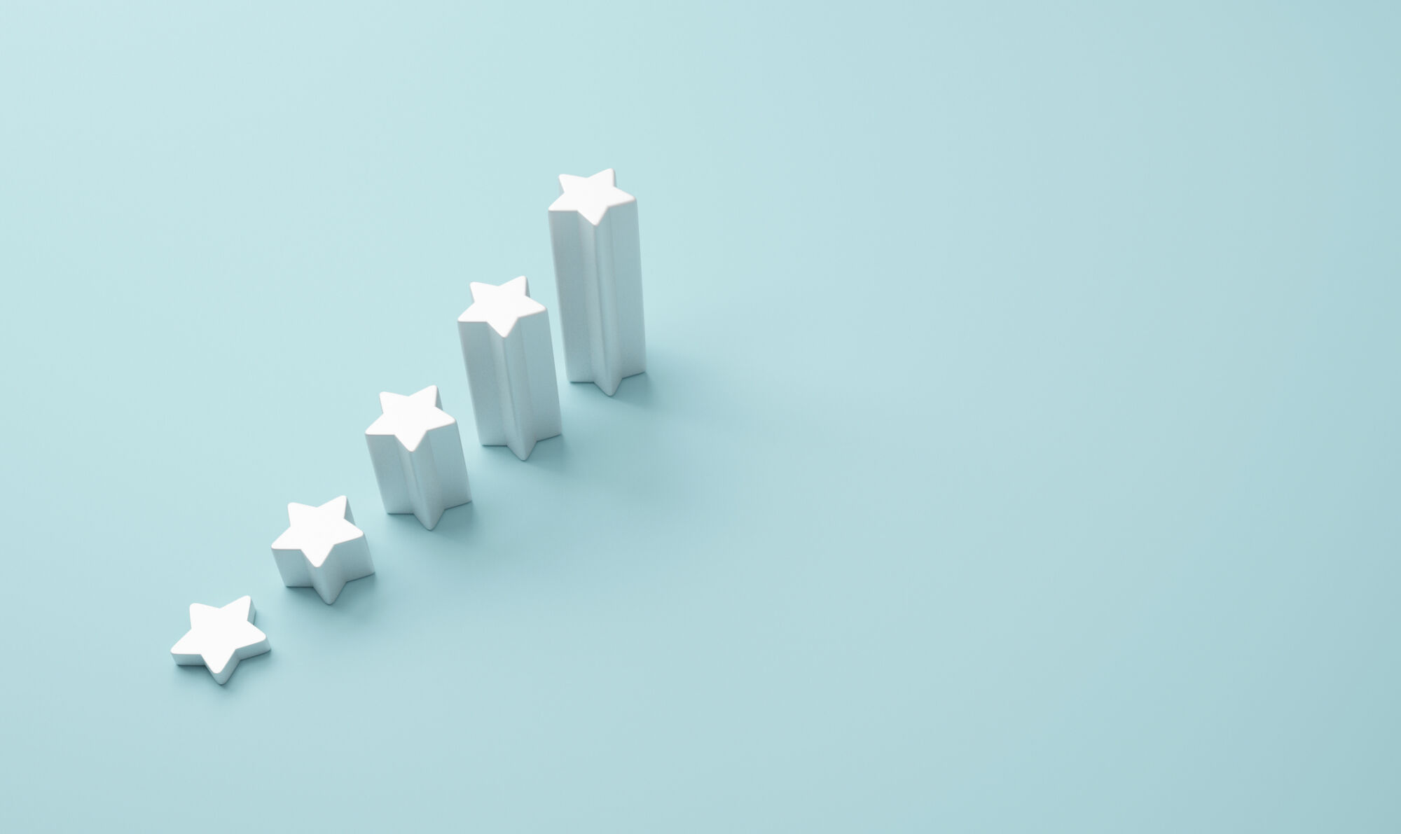 Picture of the Company