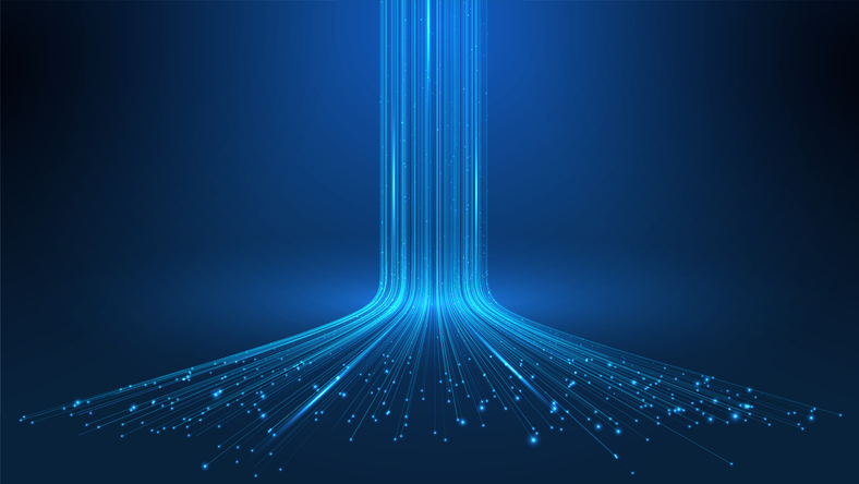 Picture of the Company