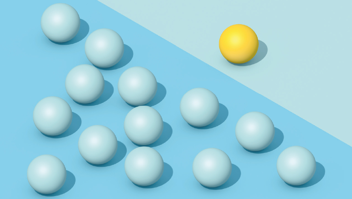 Picture of the Company