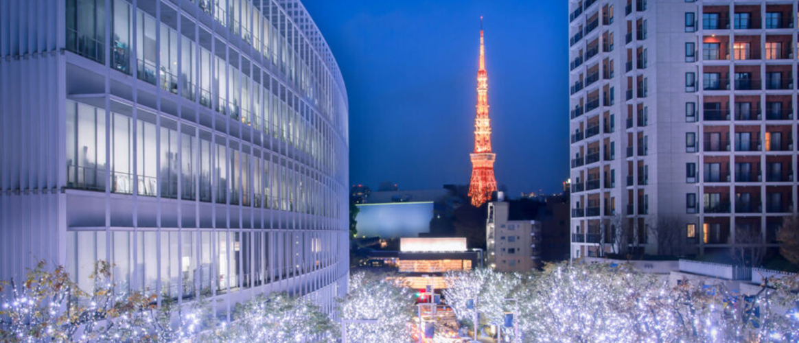 Picture of the Company