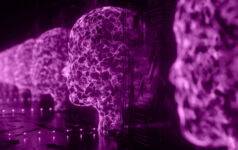 Line of digitally sculpted heads in PEI colours