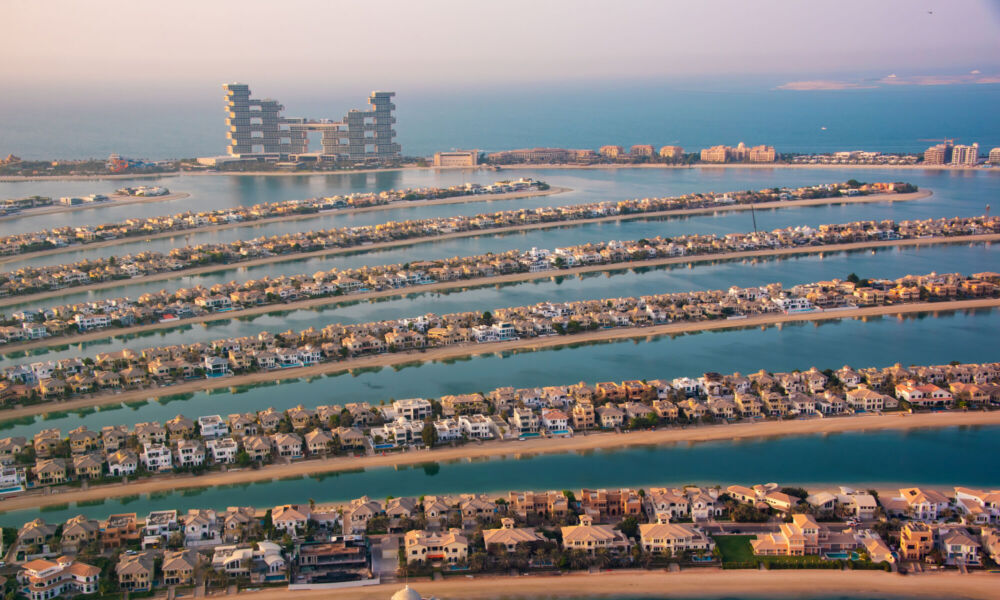 Picture of the Company