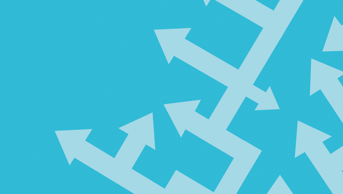 Picture of the Company