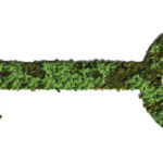 Key, impact capital, green capital, green investing, sustainable investing, sustainability, T9