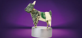 Origami dog made from US notes