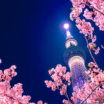 Japan’s Advantage seeks to double AUM in one year Tokyo skyline